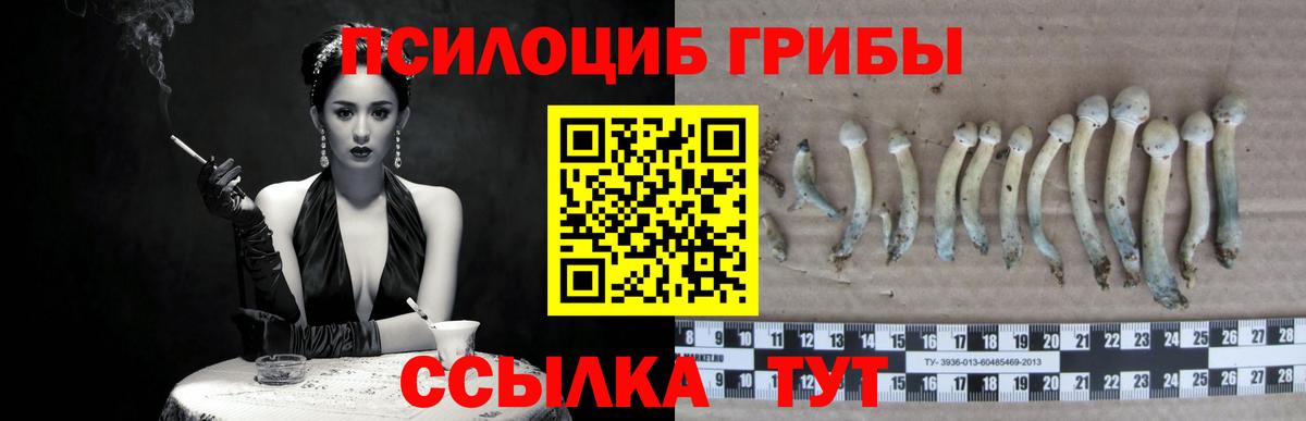 Псилоцибиновые грибы Psilocybine cubensis Корсаков